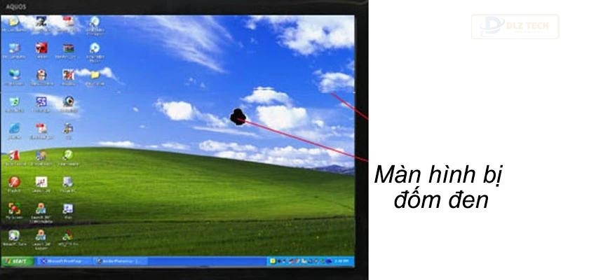 lỗi bị đốm trắng, đốm đen
