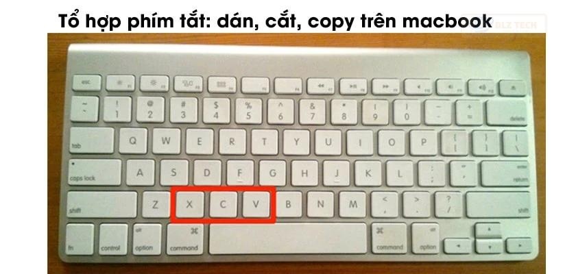Tổ hợp phím tắt Macbook: sao chép, cắt, dán