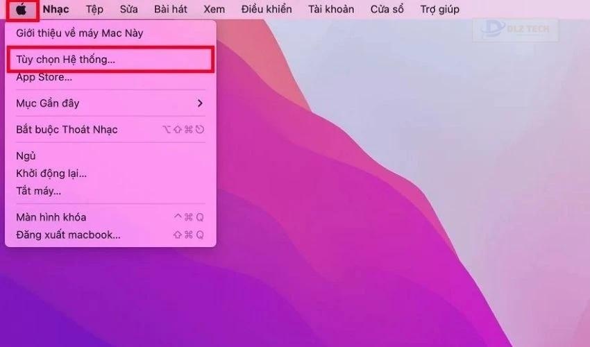 Nhấp vào biểu tượng Apple và chọn Tùy chọn hệ thống