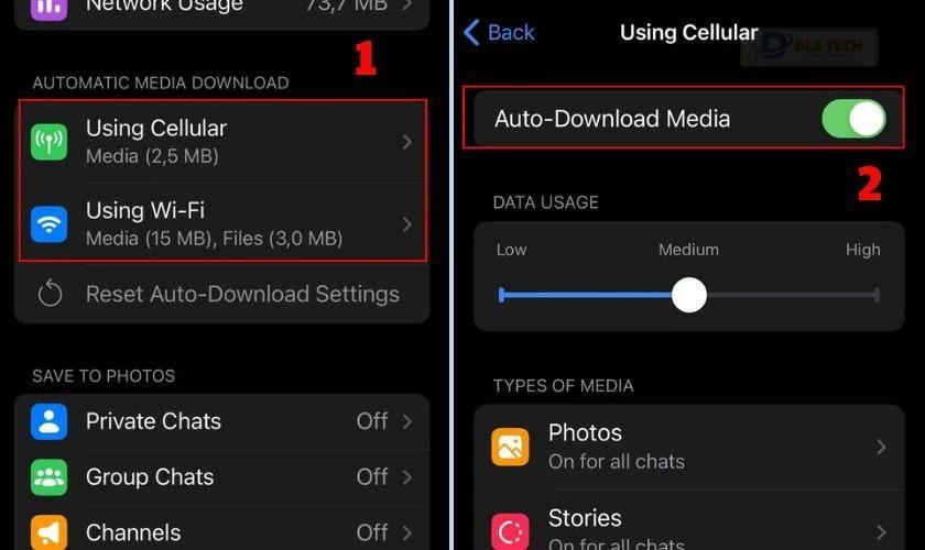 Chọn Using Cellular hoặc Using Wi-Fi trong Auto-download media