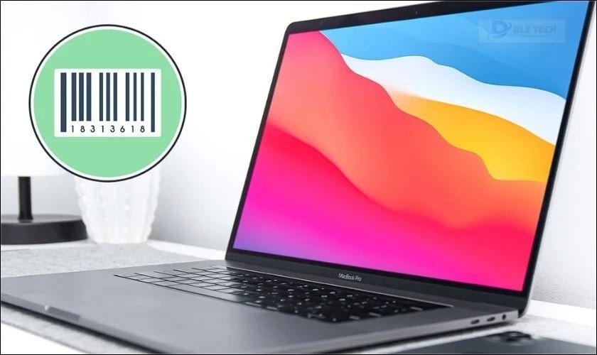 Thay đổi số serial cho MacBook bị dính MDM