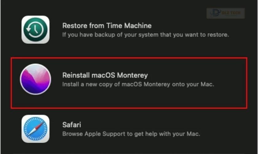 Chọn Reinstall MacOS Monterey