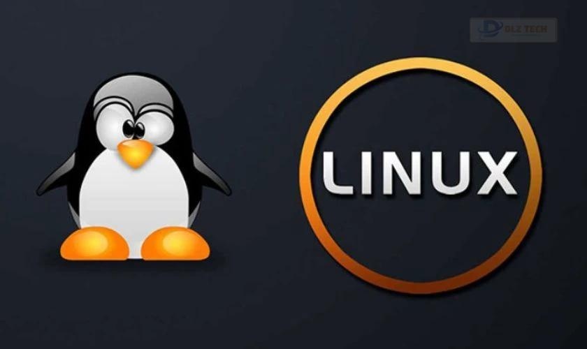 Linux là hệ điều hành miễn phí rất được ưa chuộng