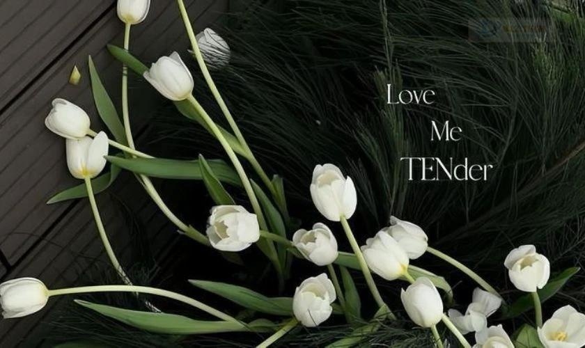 Hình nền máy tính hoa tulip