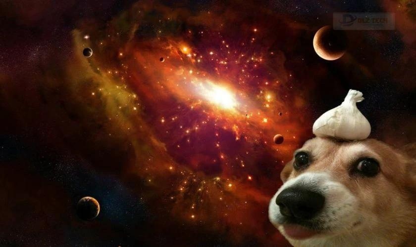 Meme Corgi và củ tỏi