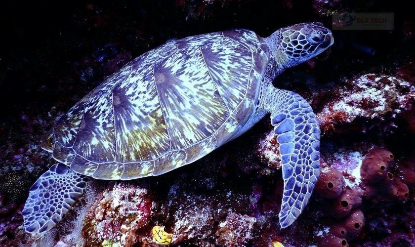 Chiều tà trên biển - Wallpaper Win 10