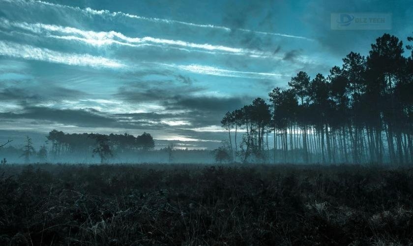 Chó con dễ thương