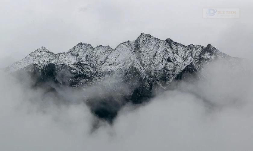 Rừng thông và núi tuyết