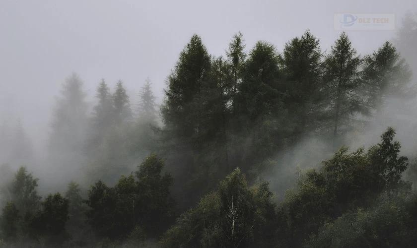 Hoàng hôn tuyệt đẹp