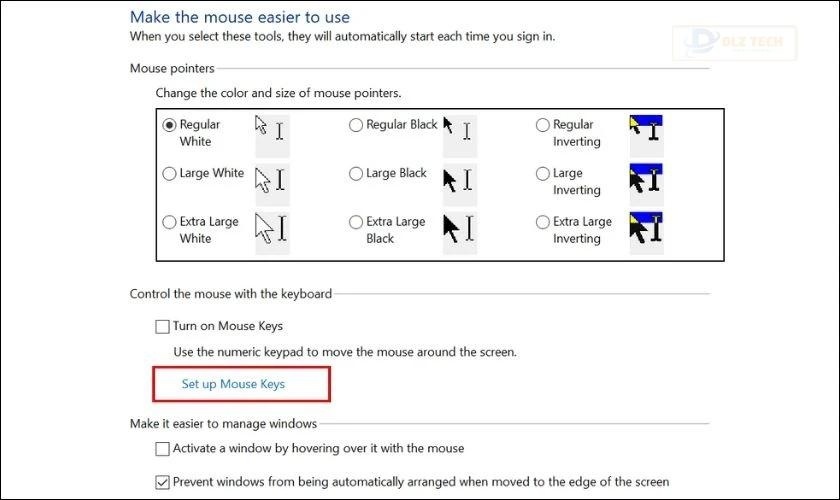 Chọn Set up Mouse Keys