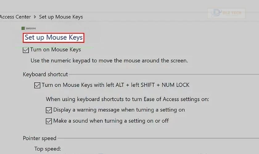 Chọn Set up Mouse Keys