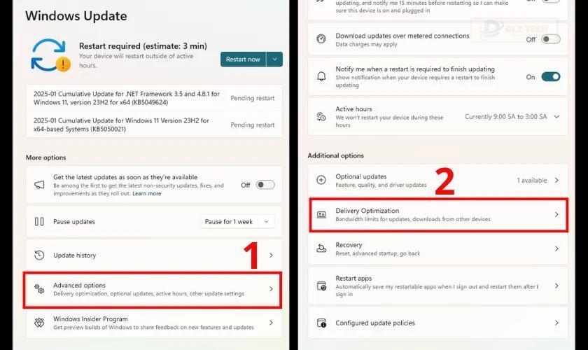 Chọn Advanced options, chọn Delivery Optimization