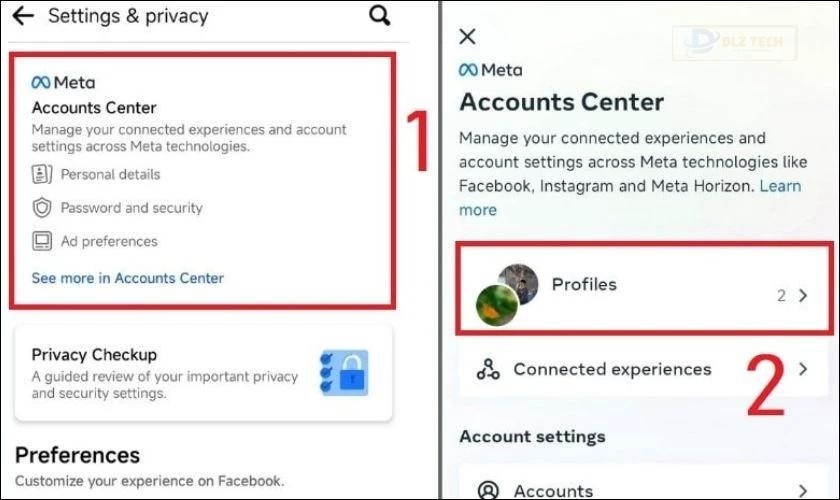 Trong mục Meta, chọn Profiles và chọn tài khoản Facebook bạn muốn thay đổi