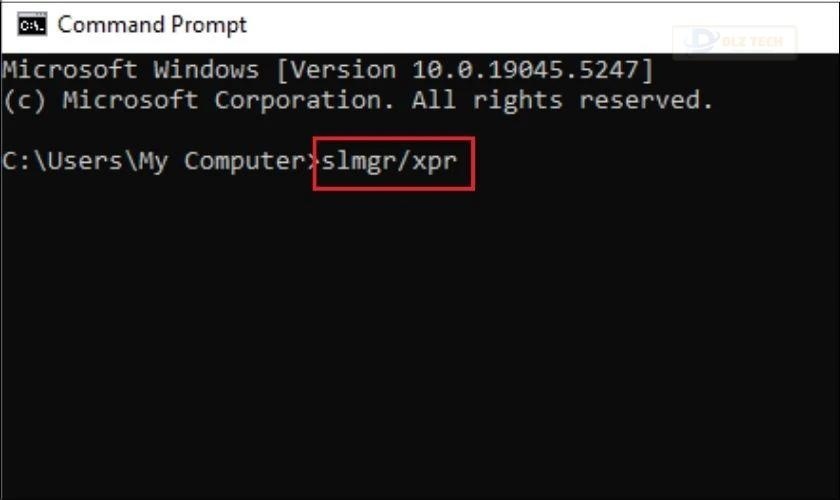 Cách kiểm tra Win 11 đã active chưa - Nhập lệnh và nhấn Enter