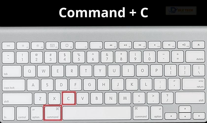 Nhấn tổ hợp phím Command + C để sao chép dữ liệu