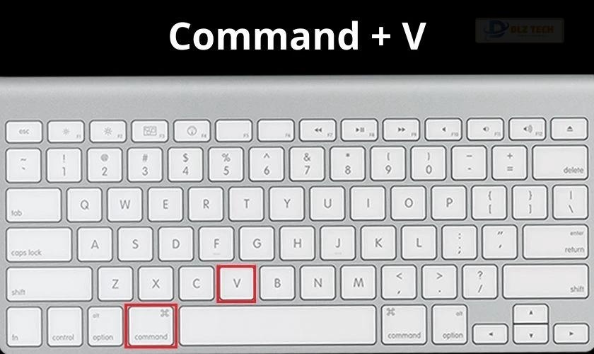 Hướng dẫn cách sao chép trên máy tính bằng tổ hợp phím Command