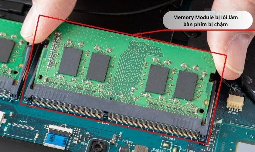 Bàn phím laptop phản hồi chậm do Memory Module bị lỗi