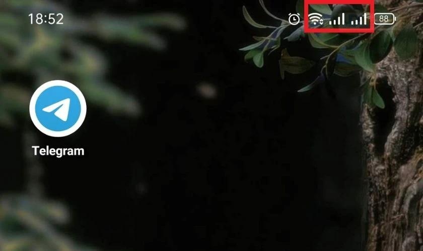 Kiểm tra kết nối mạng để sửa lỗi Telegram không tải được video