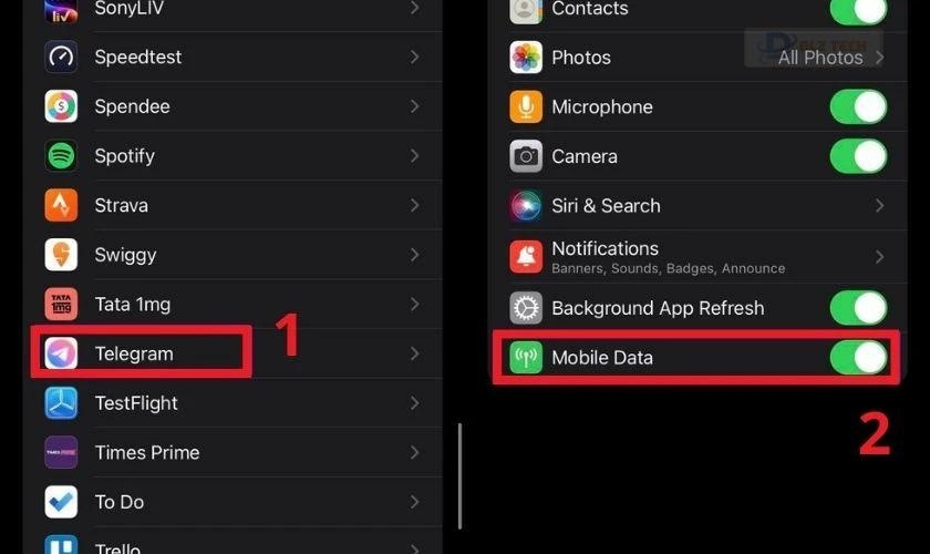 Bật chế độ dữ liệu di động khi không tải được video trên Telegram