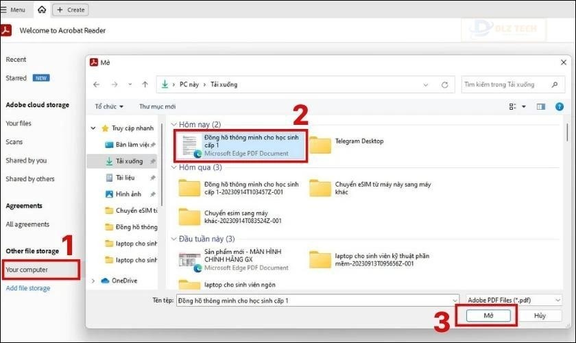 Mở file PDF trên phần mềm Adobe Acrobat Reader