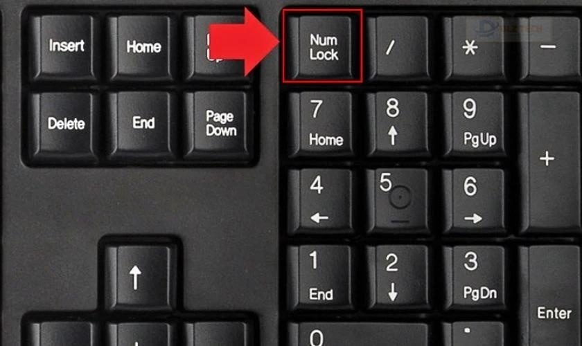 Bật Numlock khi bàn phím laptop không gõ được số