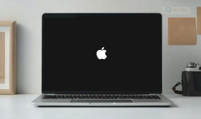 Giữ các phím đó đến khi logo trái Táo xuất hiện