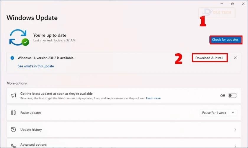 Bấm nút Check for updates