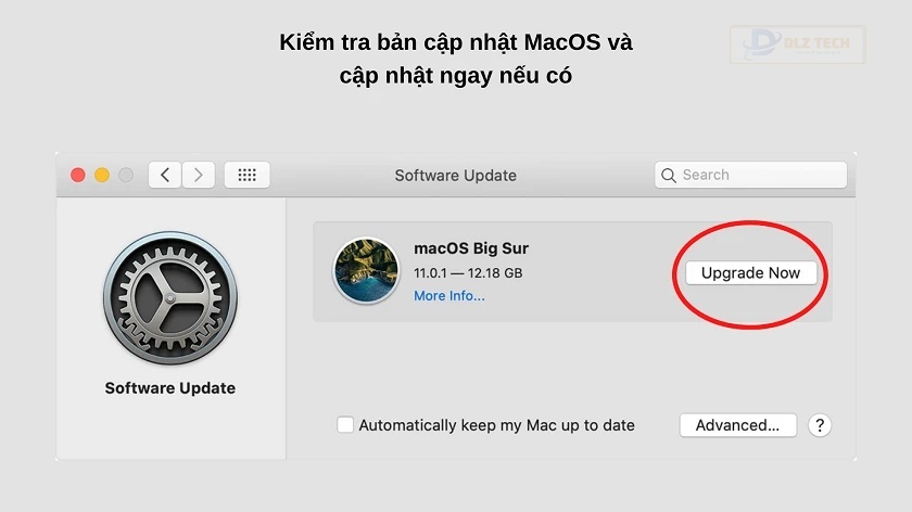 Cập nhật MacOS