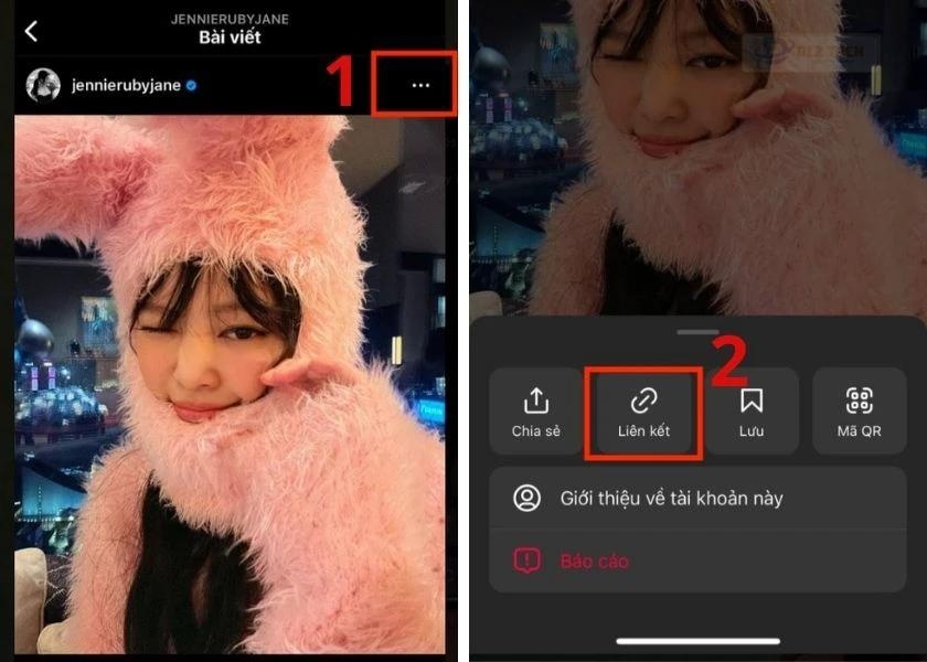 sao chép link ảnh instagram muốn tải trên iphone