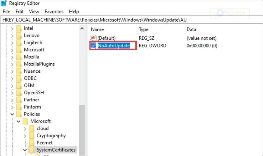 Đặt tên cho khoá NoAutoUpdate