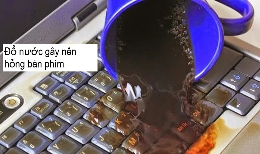 Các nguyên nhân gây ra lỗi bàn phím laptop ở Dell?