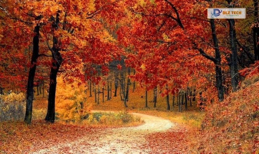 Hình nền PC 4K chủ đề Thiên nhiên