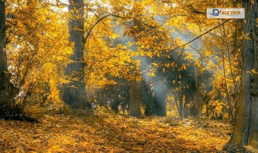 Ảnh nền PC 4K chủ đề Thiên nhiên