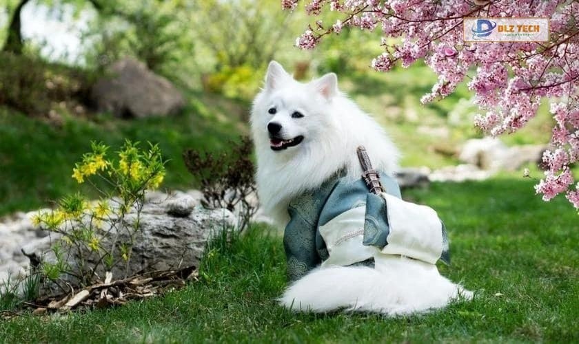 Wallpaper 4K cute cho PC