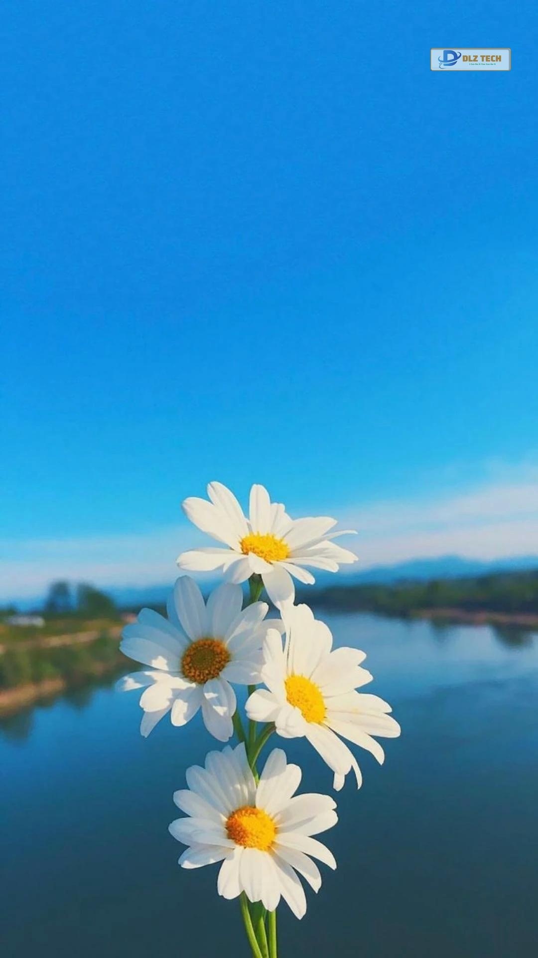 Hình nền Zalo đẹp