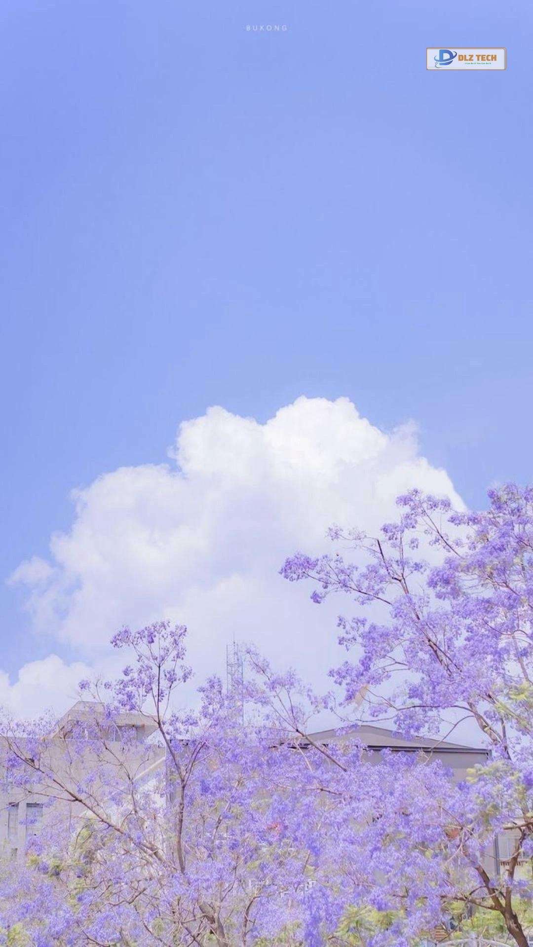 Hình nền Zalo cute