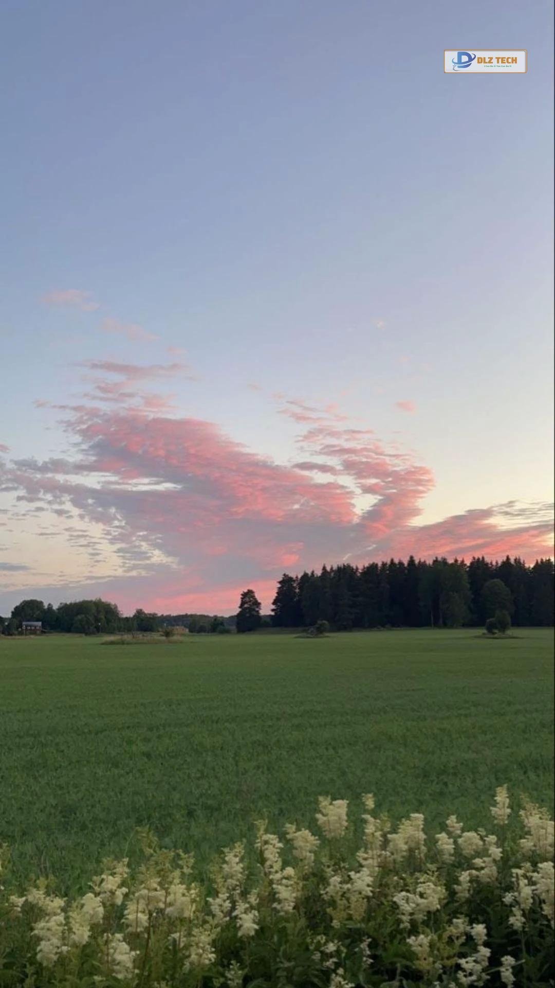 Hình nền Zalo cute