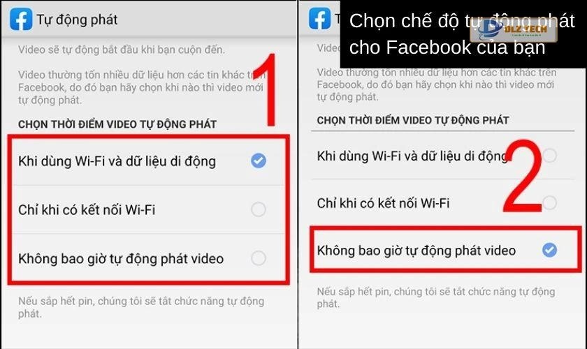 Tùy chọn tự động phát