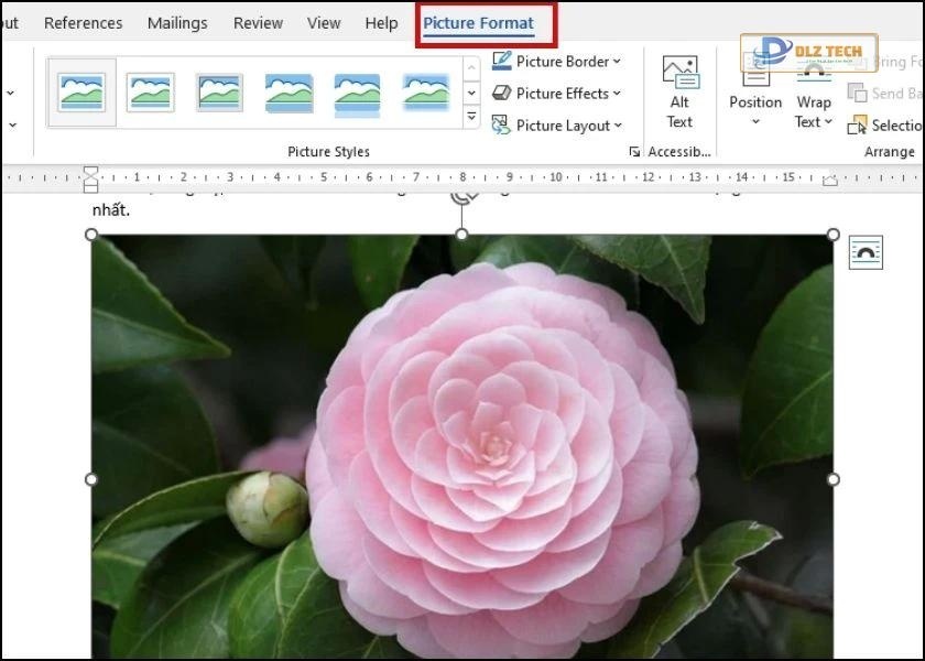cách thay đổi kích thước hình ảnh sau khi chèn vào word