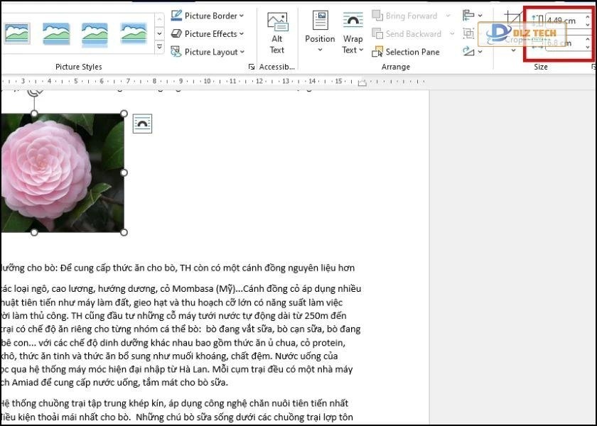 cách chỉnh sửa hình trong soạn thảo văn bản