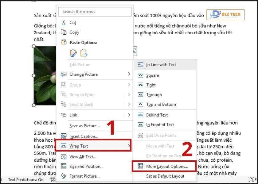 cách chèn thêm hình vào văn bản trong word mà không bị nhảy chữ