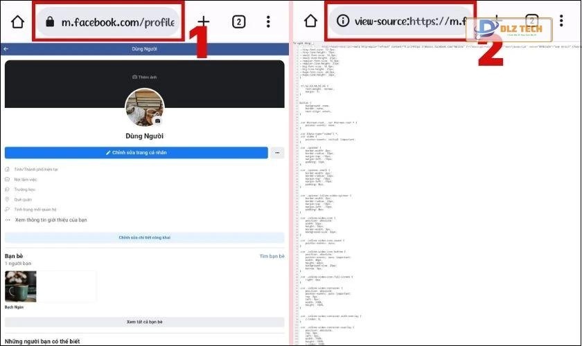 Nhập theo cú pháp view-source