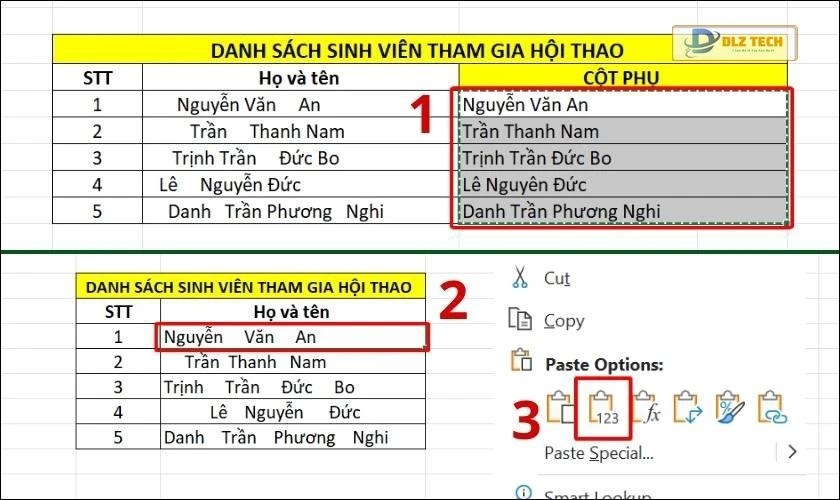 sao chép cột phụ