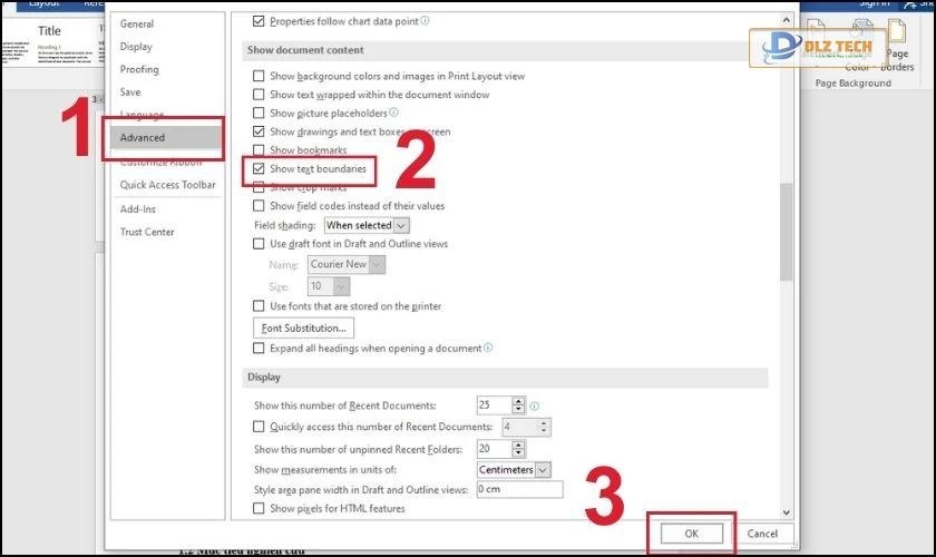 Bỏ tích tại Show text boundaries