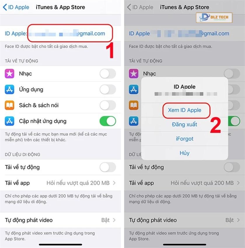 Cách cài đặt Tik Tok Trung Quốc trên iPhone