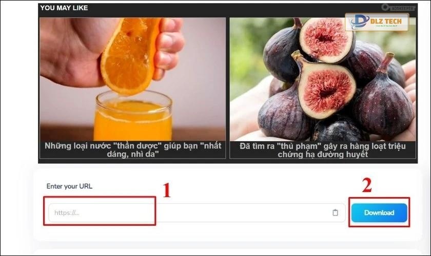 Dán link video vào BraveDown