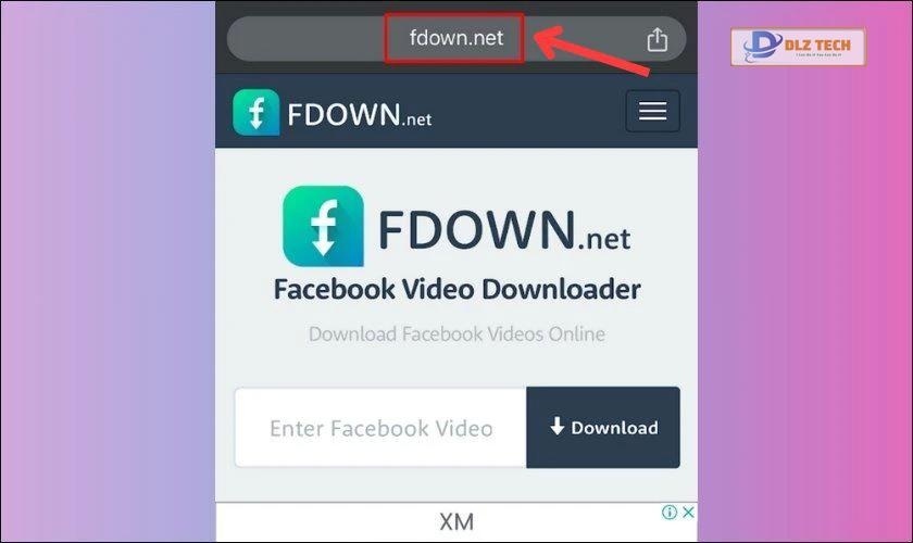 Truy cập FDown.net
