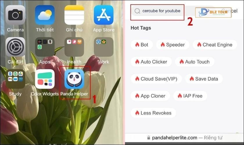 Chọn tiếp mục Apps và tìm kiếm Cercube for YouTube