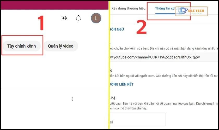 Phần Tùy chỉnh kênh và Thông tin cơ bản