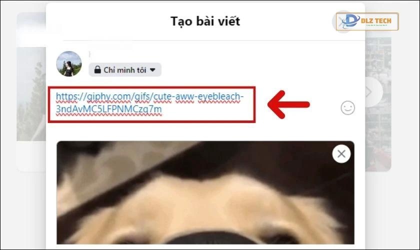 Chèn đường link GIF vào bài viết